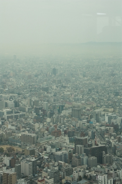 将棋電王戦第三局開始