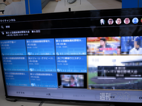 20140411_viera_4k_4b