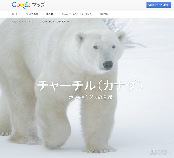 ホッキョクグマ