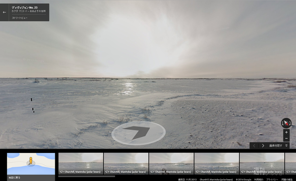 ホッキョクグマ