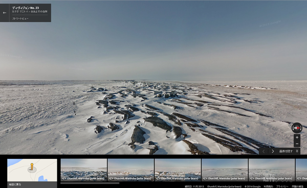 ホッキョクグマ