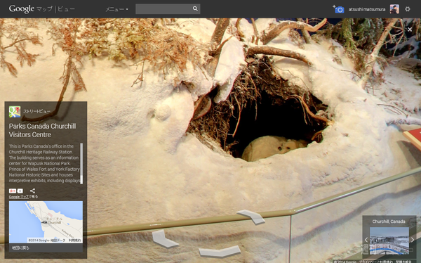 ホッキョクグマ