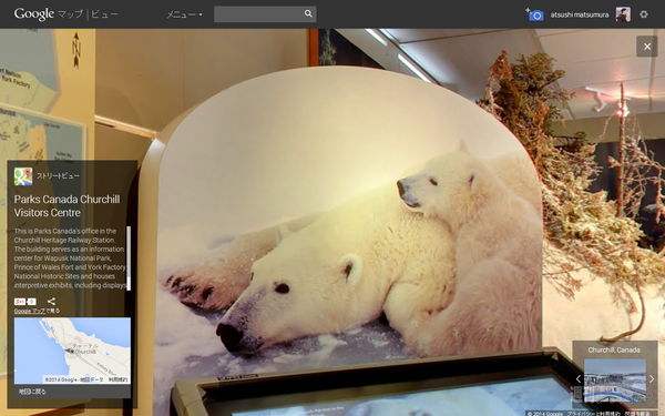 ホッキョクグマ