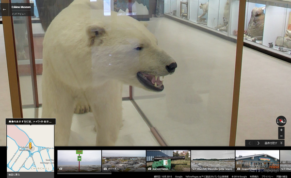 ホッキョクグマ