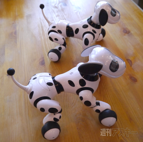 タカラトミーOMNIBOT発表会