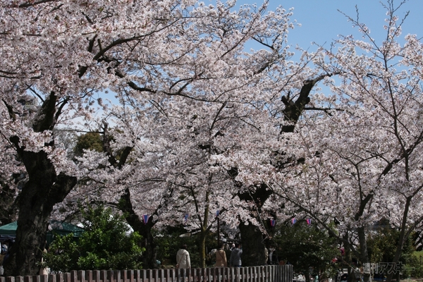 第3回将棋電王戦第四局