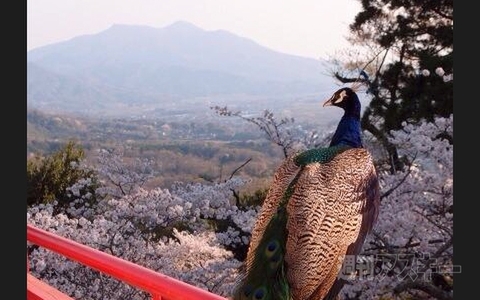 レゴで作った「等身大初音ミク」がすごい!! ほか。見出しで楽しむネタ6本