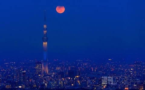 レゴで作った「等身大初音ミク」がすごい!! ほか。見出しで楽しむネタ6本