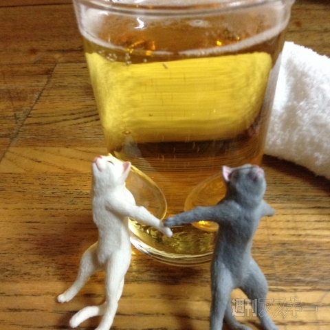 おたよりコーナー0416