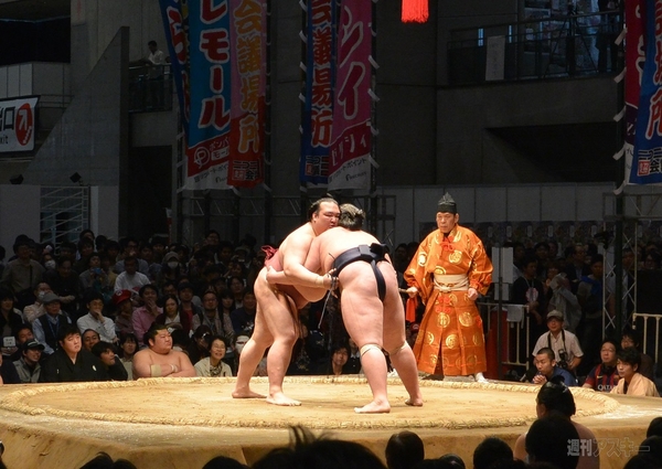 大相撲超会議場所