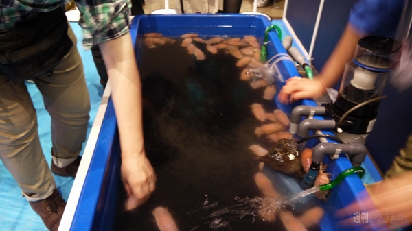 超会議3 ダイオウグソクムシ