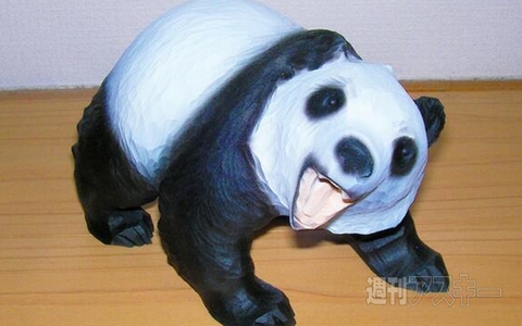 今年の水着はハイウエストがトレンド!?  ほか。見出しで楽しむネタ6本