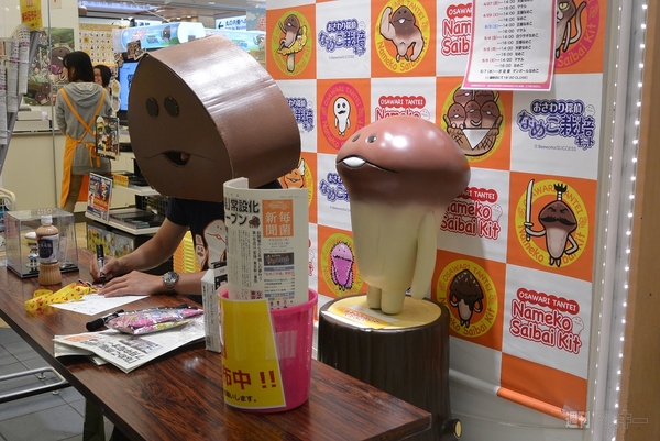 なめこ市場　春の菌まつり