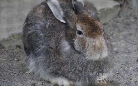 廃墟？ お化け屋敷？ いいえ、喫茶店です！ ほか。見出しで楽しむネタ6本