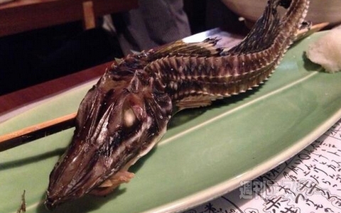 廃墟？ お化け屋敷？ いいえ、喫茶店です！ ほか。見出しで楽しむネタ6本