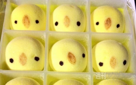 男性の絶対領域が判明!? ほか。見出しで楽しむネタ6本