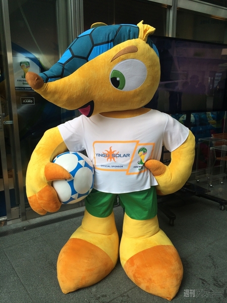 2014 FIFA World Cup Brazil STADIUM