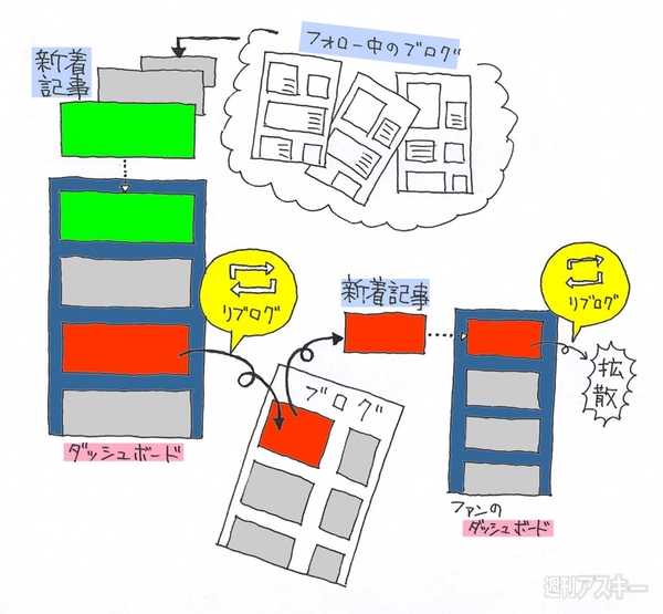 20140610_arai_tumblr