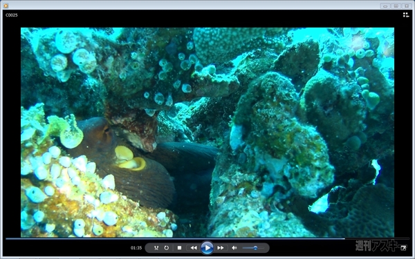 菊タローがソニー『HDR-AS100V』を使って石垣島で撮影