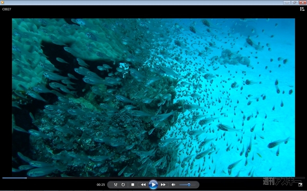 菊タローがソニー『HDR-AS100V』を使って石垣島で撮影