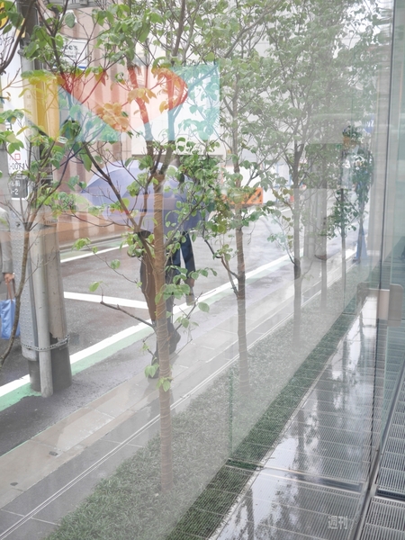 アップルストア表参道