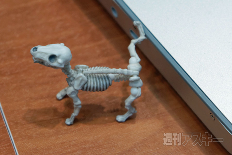 ライター林のおもちゃショー2014日記