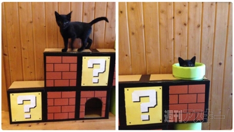 『きつねうどんパン』『カレーうどんパン』が登場！ ほか。見出しで楽しむネタ6本