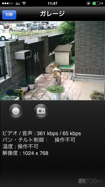 『カメラ一発！アウトドア』