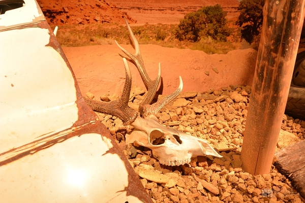 秋葉原でのどごし＜生＞イベント開催中