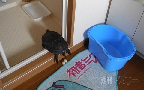 グリコの『3Dおまけ』がすごいと話題に！ ほか。見出しで楽しむネタ7本