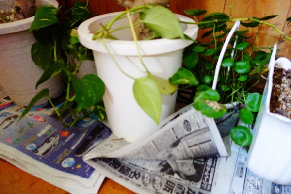 モバイルプリンス