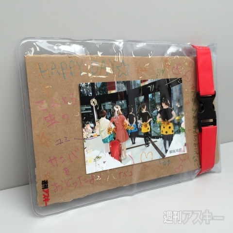 週アス付録『スマータブル防水ポーチ』