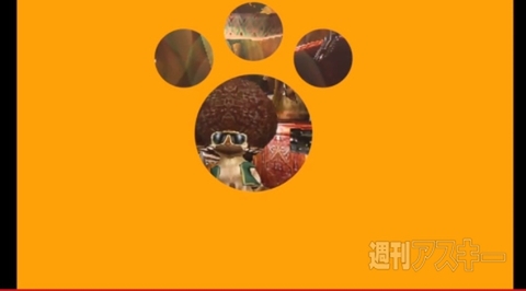 モンスターハンター4G