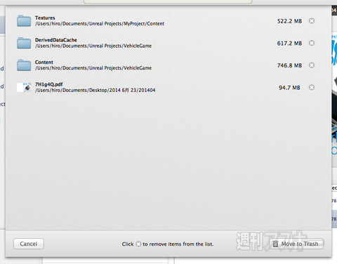 The Duplicate Finder