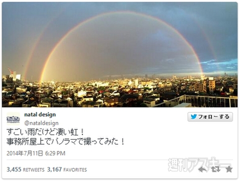 『常に悲しい顔のねこ』がブームの予感!? ほか。見出しで楽しむネタ7本