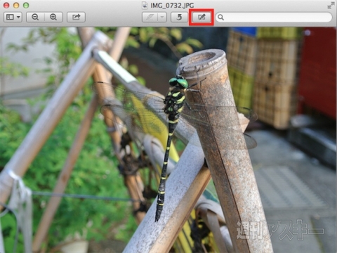 20140719_arai_picsize