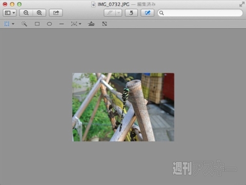 20140719_arai_picsize