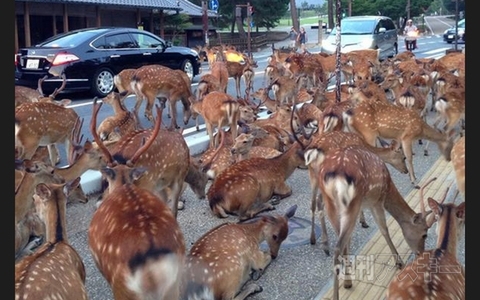神戸にある駅の名前がカオスすぎる!? ほか。見出しで楽しむネタ7本