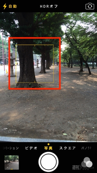 20140726_arai_hanabi