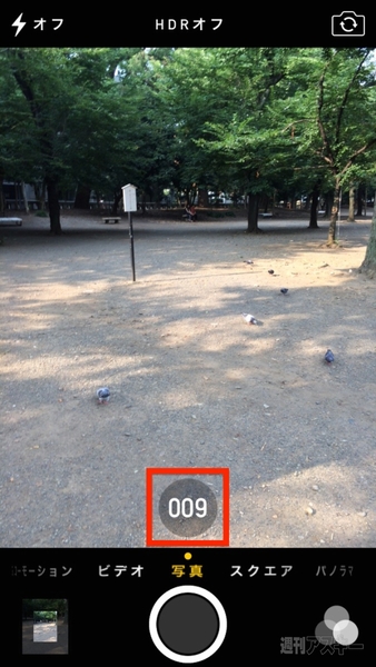 20140726_arai_hanabi