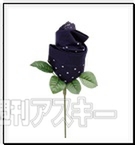 パンツフラワー