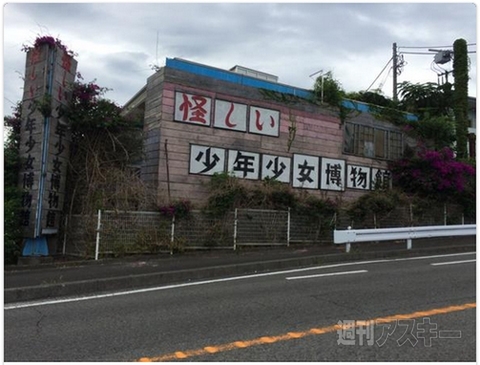 狭いところが好きすぎるネコ!? ほか。見出しで楽しむネタ7本