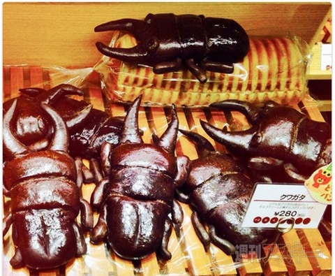 狭いところが好きすぎるネコ!? ほか。見出しで楽しむネタ7本