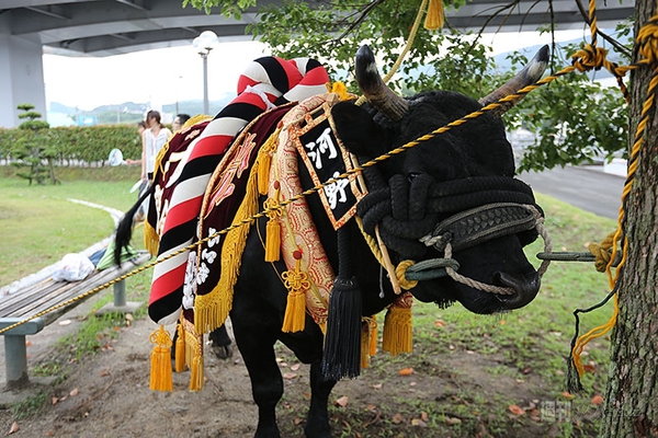 ニコニコ町会議