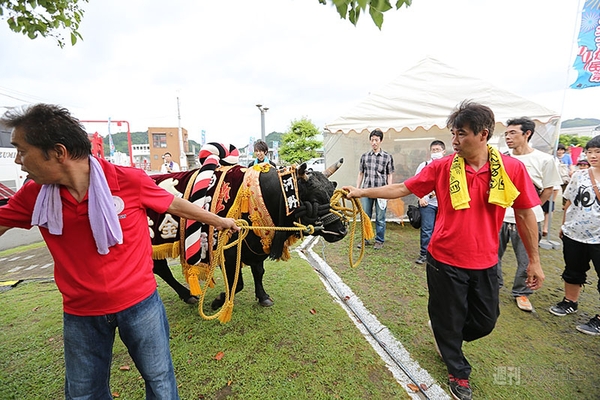 ニコニコ町会議