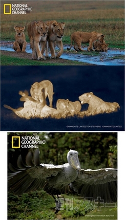 DeNAライフサイエンスの遺伝子検査サービス『MYCODE（マイコード）』開始：今日は何の日？