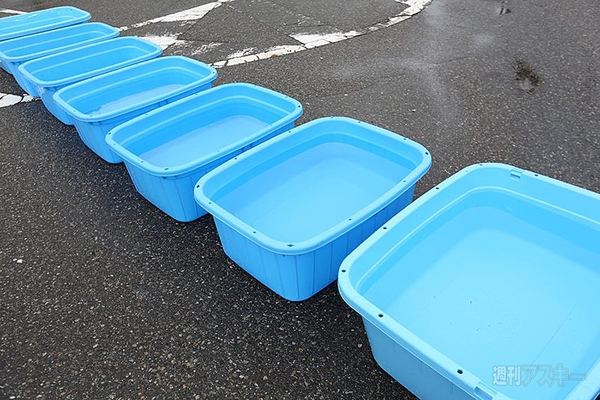 ニコニコ町会議