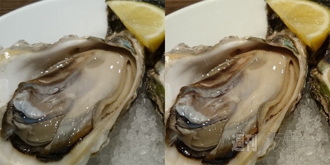 Xperiaで学ぶ、メシマズとメシウマの境界線：夏休み自由研究