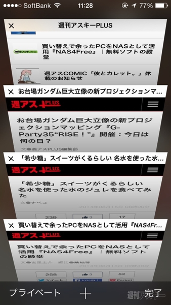 20140818_arai_safariback