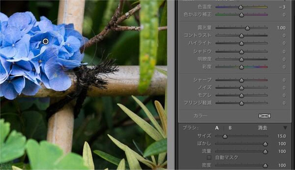 CreativeCloudフォトグラフィプラン